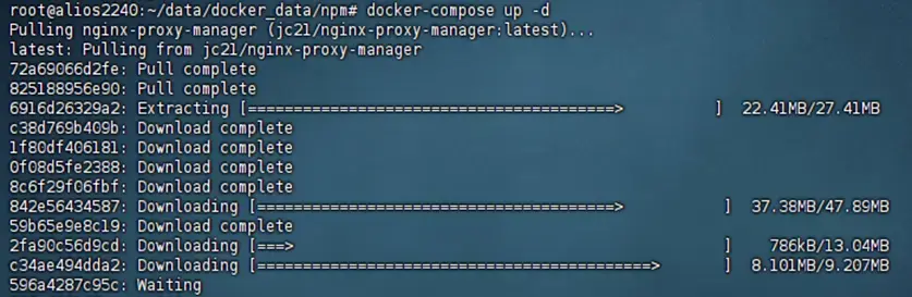 image-20260201124058264