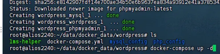 image-20260201124314603