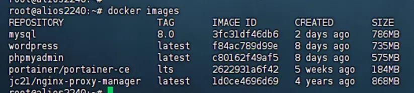 image-20260201132846539