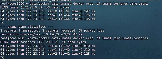 image-20260212210413753